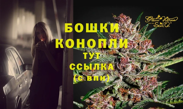 spice Абинск