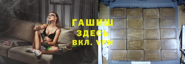 индика Медногорск