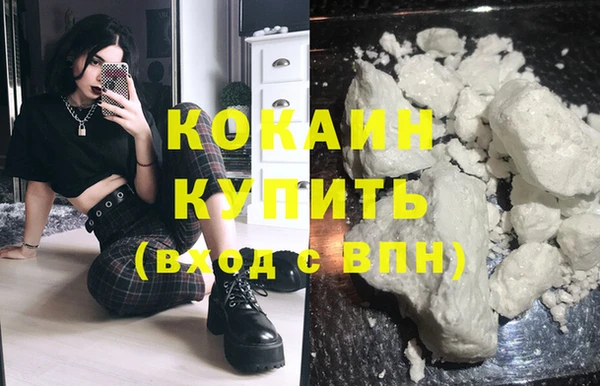 индика Медногорск