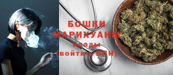 молекула духа Мегион