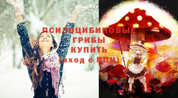 spice Абинск