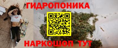 индика Малгобек