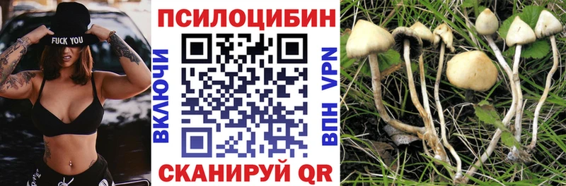 Псилоцибиновые грибы мицелий  где можно купить   Вологда 