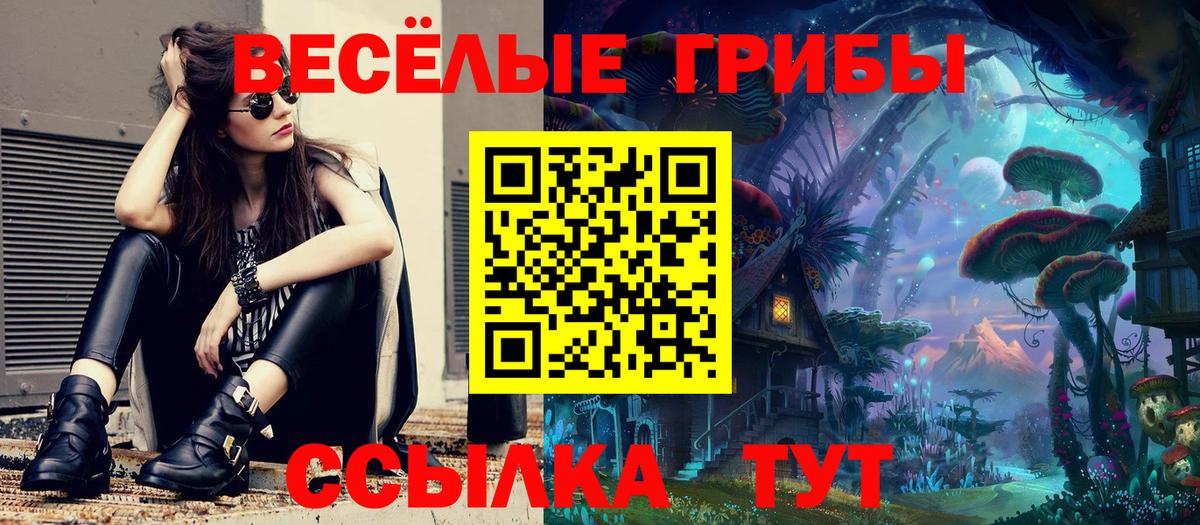 Псилоцибиновые грибы GOLDEN TEACHER  Вход с VPN  Вологда 