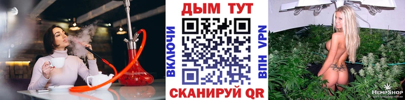 shop телеграм  Вологда  Конопля планчик 